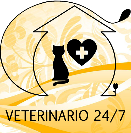 Servizio veterinario 24/7